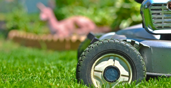 7 Lawn Care Tips for your Kamloops Yard